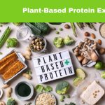 Plant-Based Protein