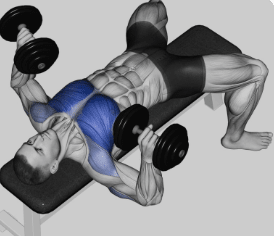 Dumbbell Chest Press