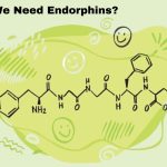 Why Do We Need Endorphins