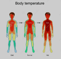 Body Temperature