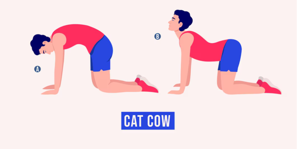 Cat-Cow-back-stretch: